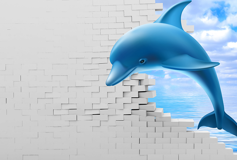 Ceo dezen Foto Tapete 3D Delfin 2